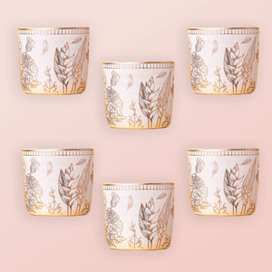 Ananda Kulhar - Ivory White (200ml) - Set of 6-Dancing Leaf