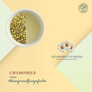 Chamomile Flowers - Pure Calming Floral Wellness - Dancing Leaf