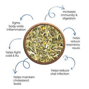 All-Day Immunity Elixir - Green Tea Blend - 125 gms (60 - 65 cups)-Dancing Leaf