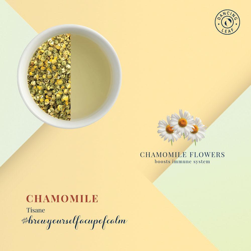 Chamomile Flowers - Pure Calming Floral Wellness - Dancing Leaf